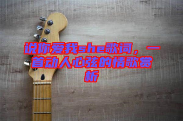 說你愛我she歌詞，一首動人心弦的情歌賞析