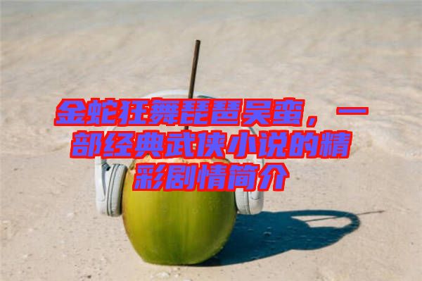 金蛇狂舞琵琶吳蠻，一部經典武俠小說的精彩劇情簡介