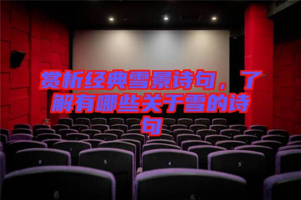 賞析經(jīng)典雪景詩(shī)句，了解有哪些關(guān)于雪的詩(shī)句
