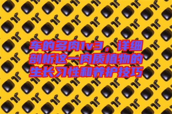 車的多肉1v3，詳細剖析這一肉質植物的生長習性和養(yǎng)護技巧