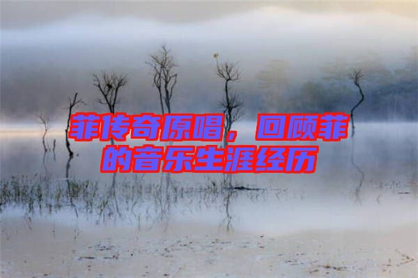 菲傳奇原唱，回顧菲的音樂生涯經歷