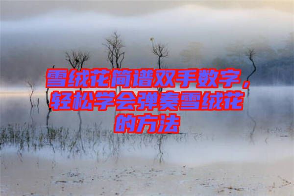 雪絨花簡譜雙手數字，輕松學會彈奏雪絨花的方法