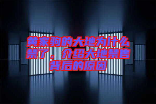 黃家駒的大地為什么禁了，介紹大地禁售背后的原因