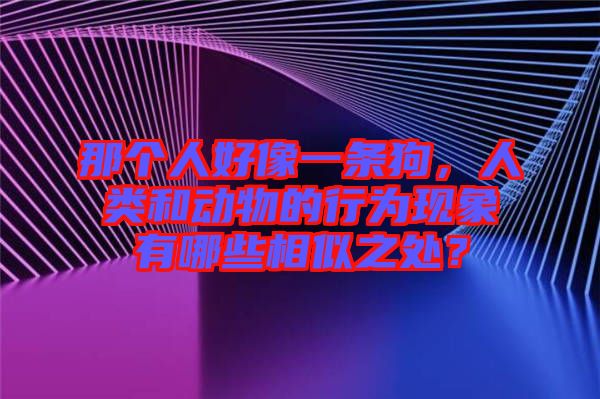 那個人好像一條狗，人類和動物的行為現象有哪些相似之處？