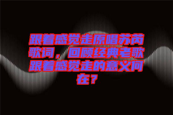 跟著感覺(jué)走原唱蘇芮歌詞，回顧經(jīng)典老歌跟著感覺(jué)走的意義何在？