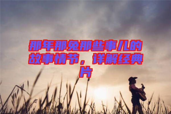 那年那兔那些事兒的故事情節，詳解經典片
